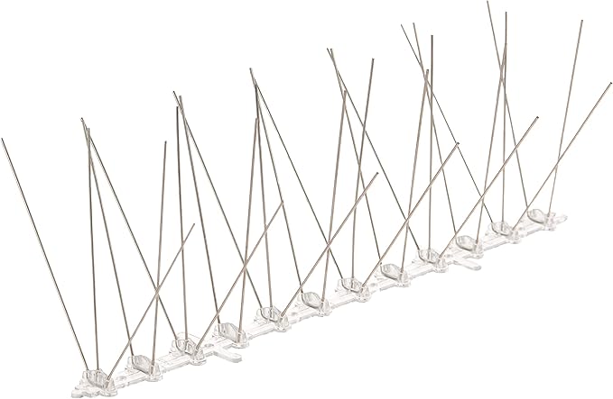 Bird-X Stainless Steel Spikes Stop Bird Roosting Pigeons 6 Inch Wide 10 Ft | Stops Bird Landing, Durable Stainless Steel, Ledges, Sings, Pipes Beams, For Pigeons, Seagulls, Sparrows & more 10 Feet