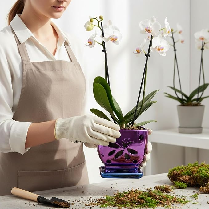 Orchid Pots with Holes Square Ceramic Orchid Planter Pots 5.5 inch (Purple)