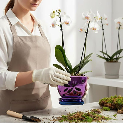 Orchid Pots with Holes Square Ceramic Orchid Planter Pots 5.5 inch (Purple)