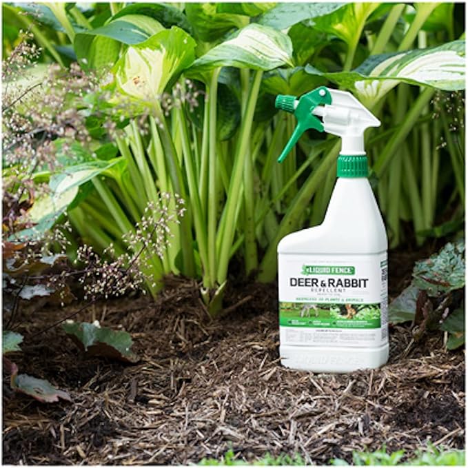 Liquid Fence 112 1 Quart Ready-to-Use Deer & Rabbit Repellent (Pack of 2)