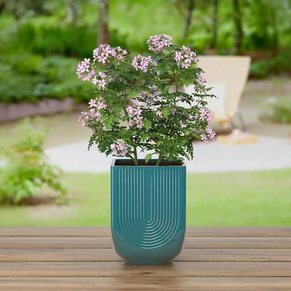 Ceramic Planter, 6 Inch Plant Pot with Drainage, Green | Indoor Outdoor Use, Flower Pot for Plants, Home Garden Decor, Lightweight Durable Ceramic