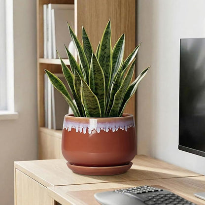 9 Inch Ceramic Planter - Indoor Planters with Drainage and Saucer, Decorative Flower Pot for Indoor Plants, Round Large Plant Pots, Office Patio House Decor, House Warming Gifts, Red-Purple