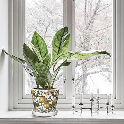 5.5 Inch Decorative Plant Pots, Round Ceramic Planters for Indoor Plants Pots with Drainage Hole Saucers, Lemon Green Leaves Ceramic Flower Pots Retro Planter Pot for Succulents Cactus Outdoor Garden
