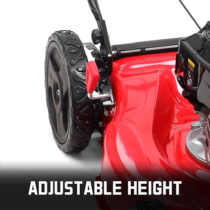 PowerSmart 21 in. Gas Lawn Mower with 125cc Briggs and Stratton E300 Engine, 2-in-1 Push Mower with Mulching & Side-Discharge, 6-Point Height of Cut