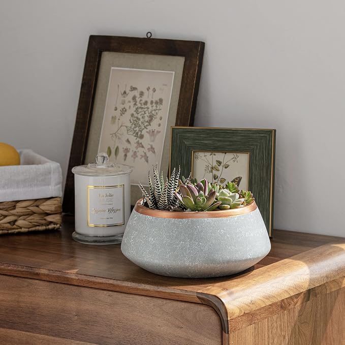 LA JOLIE MUSE Large Succulent Planter Pots - Ceramic Indoor Outdoor Garden Pot with Drainage for Plant Flower, 8 Inch, Gray