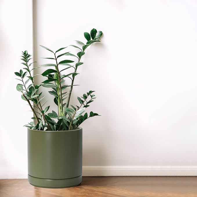 D'vine Dev 8.2 Inch Ceramic Planter Pot with Drainage Hole and Saucer, Indoor Cylinder Round Planter Pot, Olive, 94-O-D-J