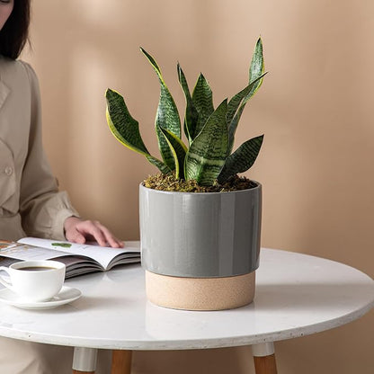 8 Inch Ceramic Self Watering Planter with Drainage Hole, Dark Grey | Indoor Plant Pot with Water Storage Plus - for African Violet, Herbs & Pothos - Home & Office Decor, Cylinder Round