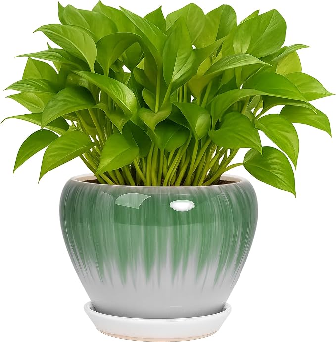 Deep Dream 6 Inch Plant Pots- Ceramic Planter Pot with Drainage Hole and Saucer, Round Flower Pot for Indoor Outdoor Succulent, Snake Plants and Cactus, White&Green