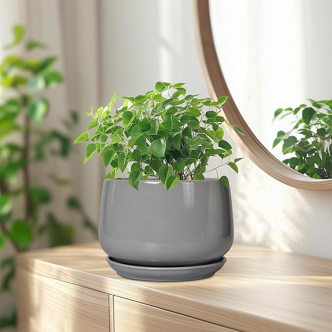 G EPGardening Ceramic Planter 7 Inch, Round, Modern, Grey | with Drainage, Ceramic Tray Included, Indoor Use, Flower & Home Decor