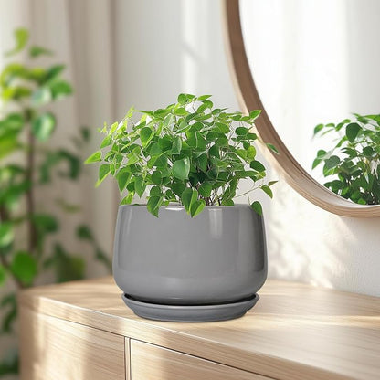 G EPGardening Ceramic Planter 7 Inch, Round, Modern, Grey | with Drainage, Ceramic Tray Included, Indoor Use, Flower & Home Decor
