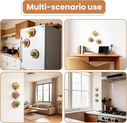 Magnetic Air Plant Holder, Natural Wood Slices Refrigerator Magnet Live Air Plant Holders, Modern Farmhouse Wall Decor for Living Room Bedroom Kitchen Office Home Garden (3 Pack)