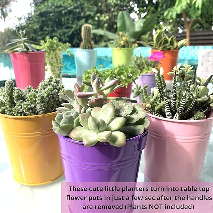 LaLaGreen Colorful Rail Planter (4 in, 10 Pack) Metal Fence Railing Pot | Rail planters for balcony, apartment, patio, porch, deck, over rail, herb, succulent, flower boxes, outdoor plants