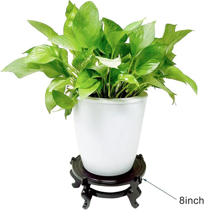 Feng Shui Chinese Wooden Fishbowl Planter Display Stand (6 Inch)