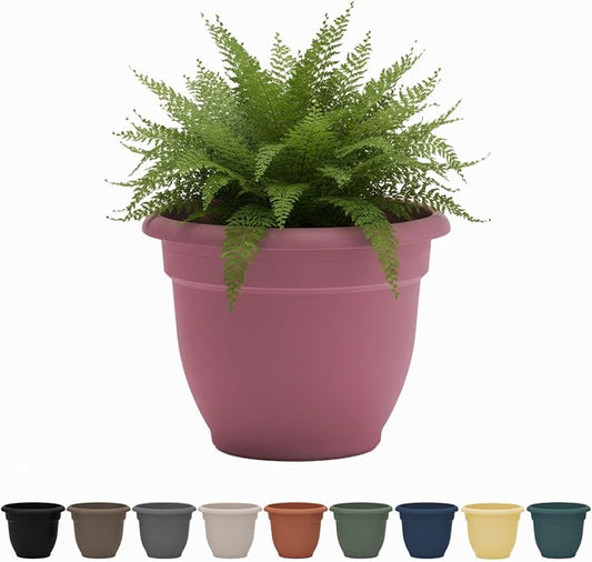 Bloem Ariana 6" Self-Watering Plastic Planter - Rolled Rim Indoor/Outdoor Garden Pot, Dusty Rose
