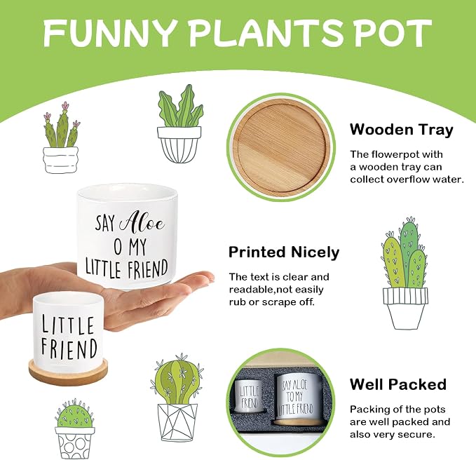 Say Aloe to My Little Friend Planter Pot, Funny Plant Pots, Aloe Plant Pot Succulent Pots with Tray Set of 2 Flower Pots Indoor Pot - Without Plants, Office Home Windowsill Gifts (No Plant)