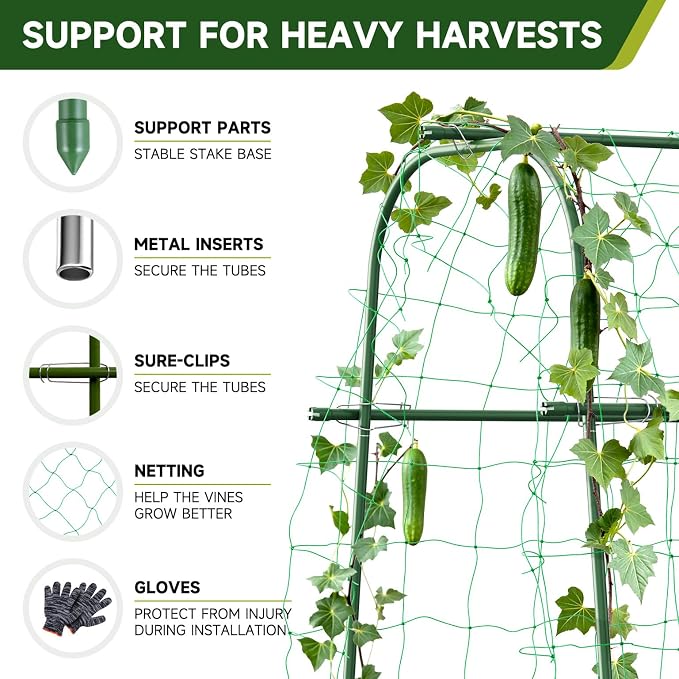 HIRALIY Cucumber Trellis for Climbing Plants Outdoor, 5.25ft Tall Heavy Duty Metal Garden Arch Trellis, Rustproof Plant Support Tunnel for Tomato, Grape, Bean, Raised Bed and Vegetable Gardens, Green