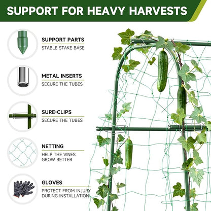 HIRALIY Cucumber Trellis for Climbing Plants Outdoor, 5.25ft Tall Heavy Duty Metal Garden Arch Trellis, Rustproof Plant Support Tunnel for Tomato, Grape, Bean, Raised Bed and Vegetable Gardens, Green