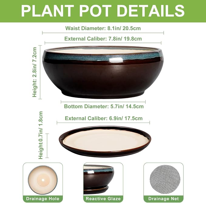 SQOWL Succulent Planters 8 Inch - Ceramic Bonsai Pots with Drainage Hole and Ceramic Saucer, Round Shallow Planter for Indoor Plant, Bowl Planter Outdoor, Desk Decor, Gift for Plant Lover, Blue-Brown