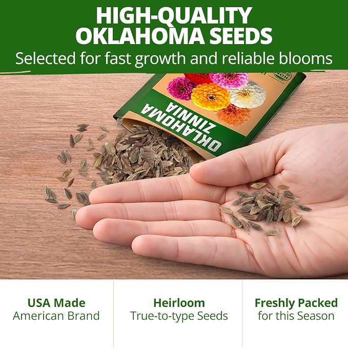 HOME GROWN Oklahoma Zinnia Seeds for Planting Outdoors 50 Heirloom Non-GMO Seeds (0.5g), Annual Cut Flower Mix, Pink & Mixed Colors, Bouquets & Borders, Spring 2026, Zones 3–10 (Zinnia elegans)