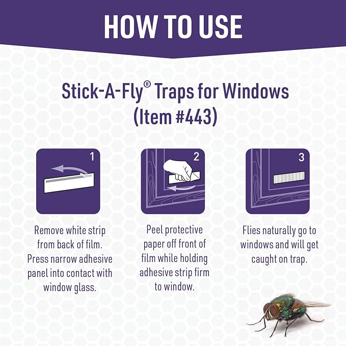 JT Eaton Stick-A-Fly Window Fly Trap, Clear