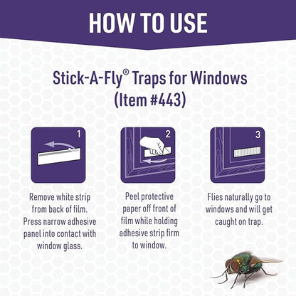 JT Eaton Stick-A-Fly Window Fly Trap, Clear
