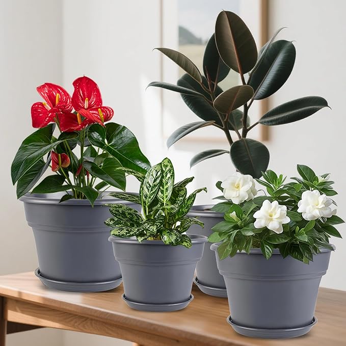 Myfeegoin 6-inch-Plant-Pots-Indoor-Outdoor, 6 Pack Plastic Planters with Drainage Holes & Saucers, Resin Flower Pots with Trays, Classic Garden Pot Container for House