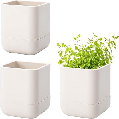 Phoenix Vine 3.5 Inch Wall Mounted Self-Watering Planter Pot for Indoor Houseplants and Herbs | Hanging Planter for Window Sills, Bathroom Walls, Home & Office Décor, Oatmeal, Set of 3, 01-A-G-3