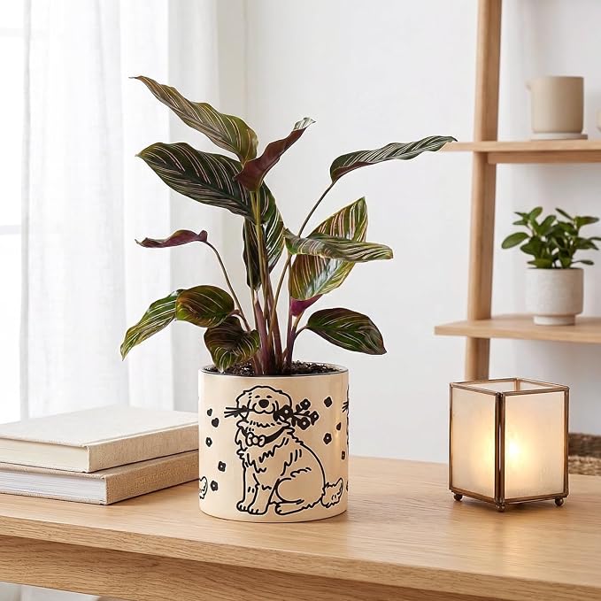 STHIE Indoor Plant Pot 5 Inch - Round Ceramic Planter with Drainage Hole, Hand-Painted Cute Flower Pot for Desktop Office Windowsill, Dog Lover Gift (Resting Dog)