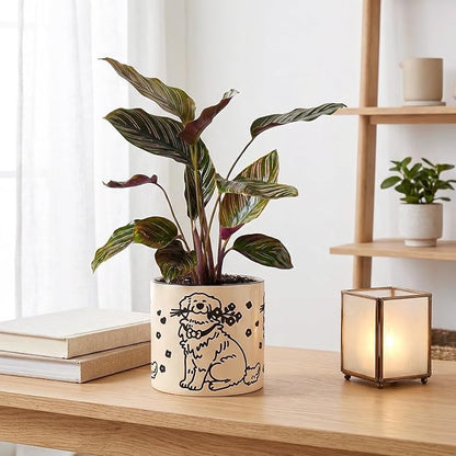 STHIE Indoor Plant Pot 5 Inch - Round Ceramic Planter with Drainage Hole, Hand-Painted Cute Flower Pot for Desktop Office Windowsill, Dog Lover Gift (Resting Dog)