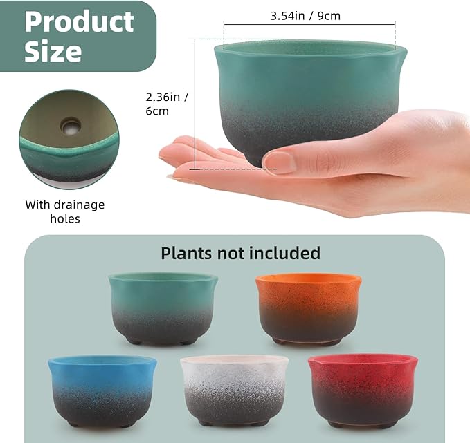 Small Ceramic Garden Pots Succulent Plant Planter Container with Drainage Set of 5 for Home Office Decor