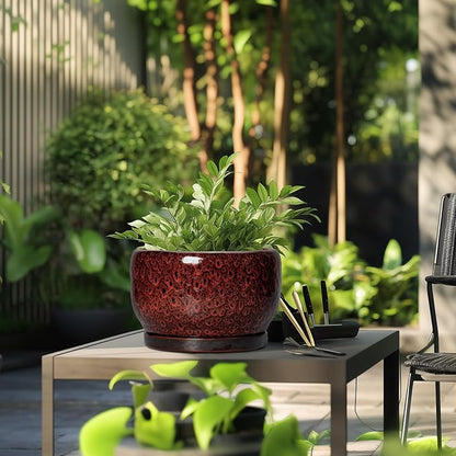 SQOWL Ceramic Flower Pots - 10 Inch Plant Pot Indoor, Ceramic Planter with Drainage Hole and Saucer, Round Decorative Large Planter Outdoor, Home Decor Living Room, Gifts for Plant Lovers, Red