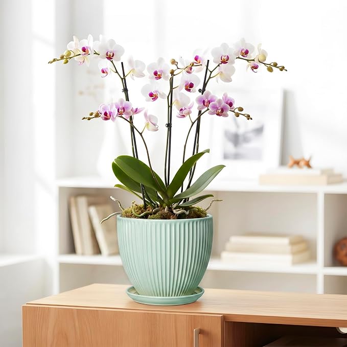 Ceramic Plant Pot, 8 Inch Flower Pots for Indoor Plants, Decorative Flower Planter with Drainage Hole and Saucer, Modern Round Pots for Plants, House Decor, House Warming Gifts, Mint Green