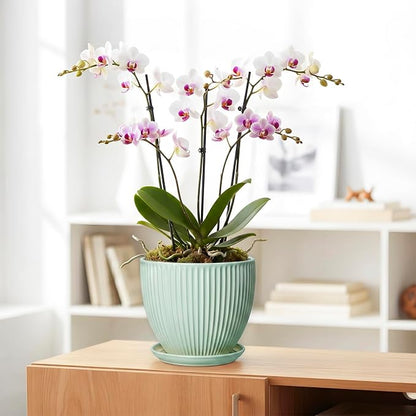 Ceramic Plant Pot, 8 Inch Flower Pots for Indoor Plants, Decorative Flower Planter with Drainage Hole and Saucer, Modern Round Pots for Plants, House Decor, House Warming Gifts, Mint Green