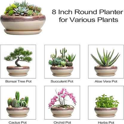 SQOWL Succulent Pots 8 Inch - Ceramic Bonsai Pots for Indoor Plants, Round Shallow Plant Pot with Drainage Hole and Saucer, Bowl Planter Outdoor, Patio Decor, Plant Lover Gifts, Beige