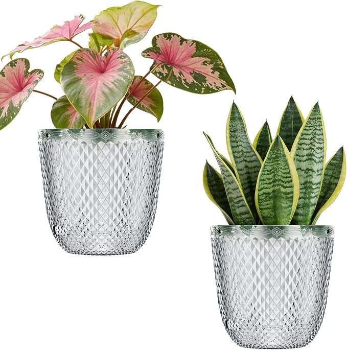 QCQHDU 2 Pack Self Watering Pots, 5.7 Inch, with Drainage Holes, Clear | Plastic Garden Planter with Water Filling Port for Indoor Plants