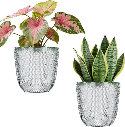 QCQHDU 2 Pack Self Watering Pots, 5.7 Inch, with Drainage Holes, Clear | Plastic Garden Planter with Water Filling Port for Indoor Plants