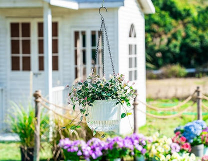 Melphoe 2 Pack Self Watering Hanging Planters Indoor Flower Pots, 6.5 Inch Outdoor Hanging Plant Pot Basket, Plant Hanger with 3Hooks Drainage Holes for Garden Home