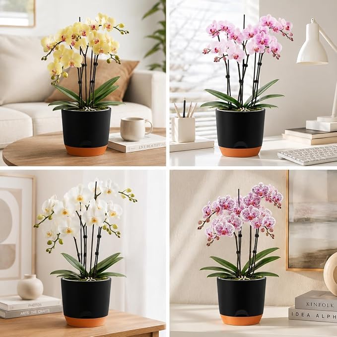 QCQHDU 5.7Inch Orchid Pots with Holes for Repotting, Double-Layer Plastic Self Watering Flower Pots for Indoor Plants with Drainage Holes, Clear Orchid Pot Match Decorative Orchid Container, 5 Packs