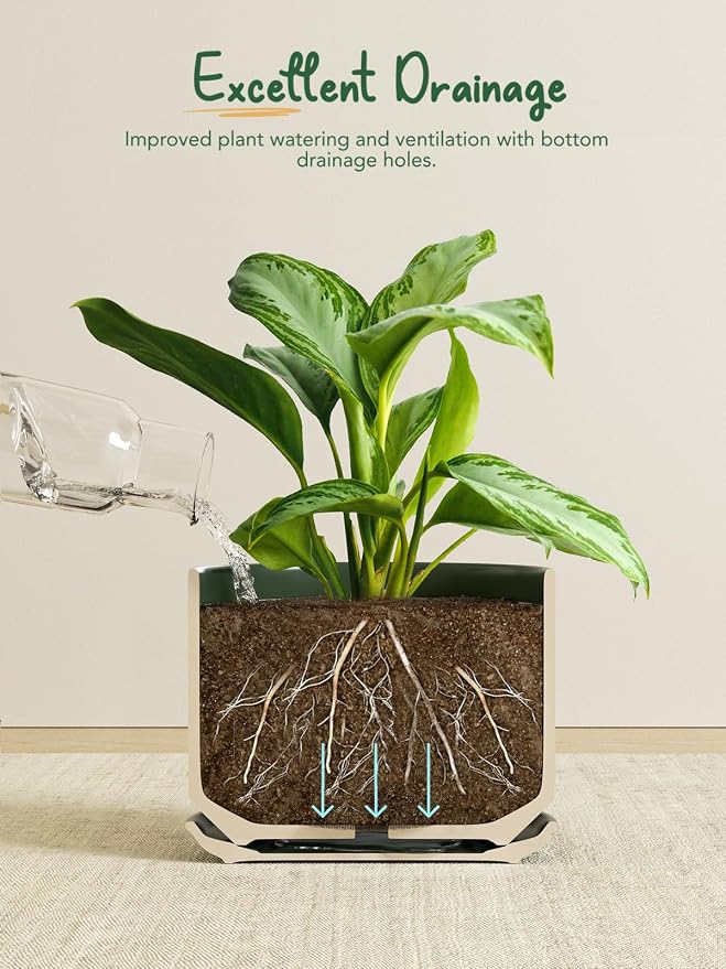 LE TAUCI Ceramic Plant Pots, Set of 2, 8+10 Inch Plant Pots Indoor with Drainage Hole & Saucer, Sturdy Planters for Indoor Plants, Modern Minimalist Decor for Snake Plant, Monstera, Green
