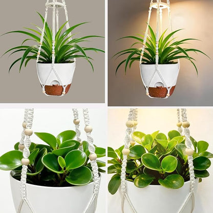 2 Pack Self Watering Hanging Planters with Grow Light for Indoor Plants | 10 Brightness, 3 Light Modes, 3/9/12H Timer, Built-In Reservoir, Drainage Holes, 10 in Pots