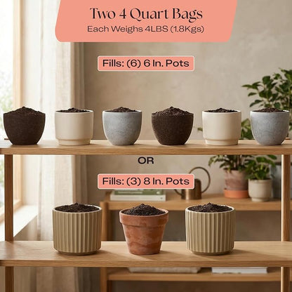 Rosy Soil Cactus & Succulent Potting Mix, 4 Quarts, Pack of 2 | Organic Succulent Potting Soil, Chunky Fast Draining, Peat-Free, Root Boosting Mix, For AloeVera, Cacti, Indoor Succulents