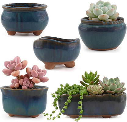 Ceramic Succulent Garden Pots Small Plant Planter Container with Drainage Set of 5 for Home Office Decor