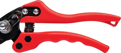 Stem and Branch Pruning Bundle: Bypass Pruner and Garden Snips