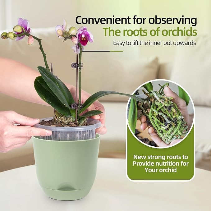 QCQHDU 7.2Inch Orchid Pots with Holes for Repotting, Double-Layer Plastic Self Watering Flower Pots for Indoor Plants with Drainage Holes, Clear Orchid Pot Match Decorative Orchid Container, 1Pack