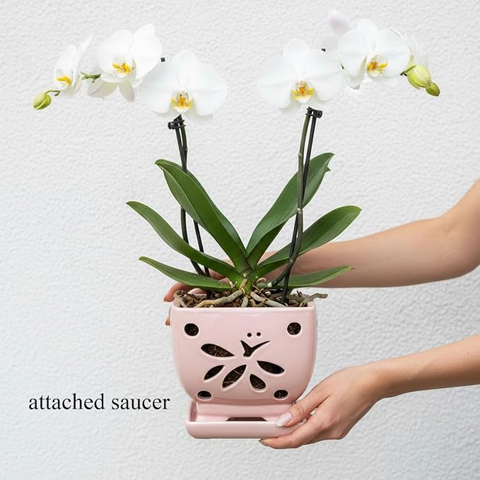 Orchid Pots with Holes Square Ceramic Orchid Planter Pots 5.5 inch (Pink)