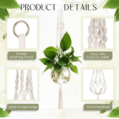 Colingmill 12 Pcs Plastic Plant Propagation with Boho Macrame Hanger Wall Plant Propagation Station Hanging Holder Include Hooks Kit for Indoor Home Garden Office Decor 3 Size (White)