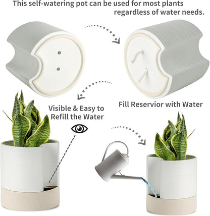 Nihow Ceramic Self Watering Plant Pot for Indoor Plants, 8 Inch,White | Planter with Cotton Wick, Drainage Hole & Water Storage Plus, Cylinder Round Flower Pot, For Succulent/Herbs/Violets