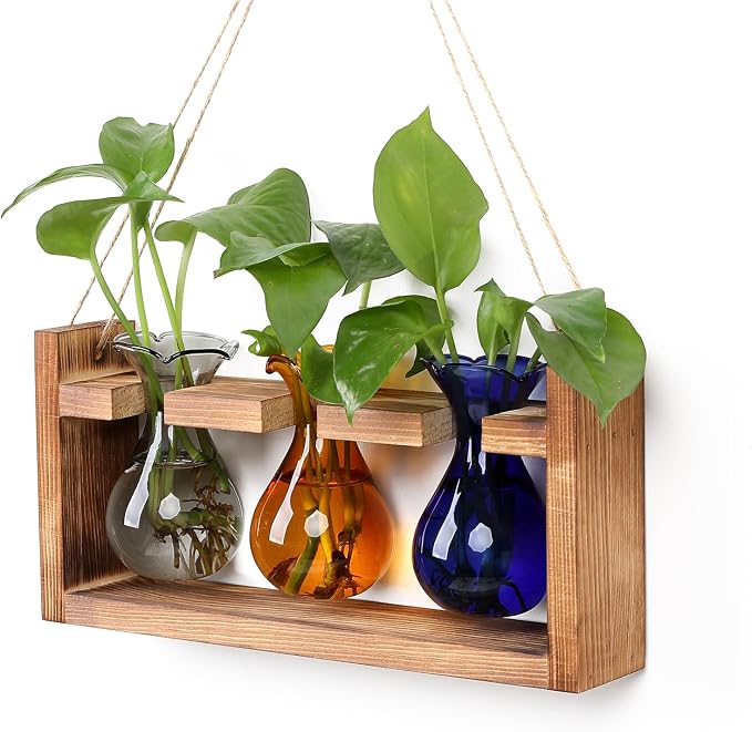 Plant Propagation Station Plant Terrarium Unique Birthday Gifts for Women | Plant Lovers Home Office Decor Planter with Wooden Stand - 3 Bulb Glass Vase