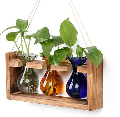 Plant Propagation Station Plant Terrarium Unique Birthday Gifts for Women | Plant Lovers Home Office Decor Planter with Wooden Stand - 3 Bulb Glass Vase