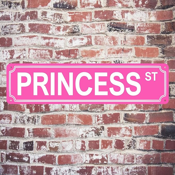 Pink Room Decor Princess Street Sign Y2k Princess Room Decor Pink Princess St Metal Tin Sign Bedroom Decorations 16x4 Inches